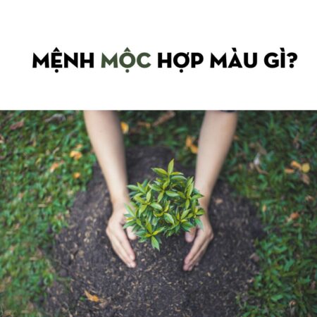 MENH MOC HOP MAU GI 1